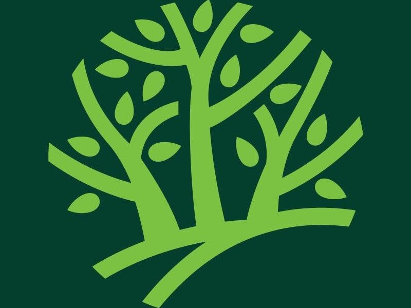 2025 TMC Composition&nbsp;Fellow